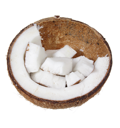 Coconut on White Backgroundの写真素材