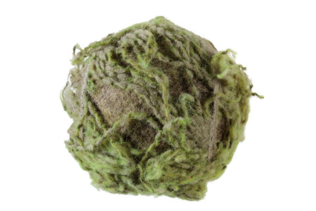 Worn Tennis Ball on White Backgroundの写真素材