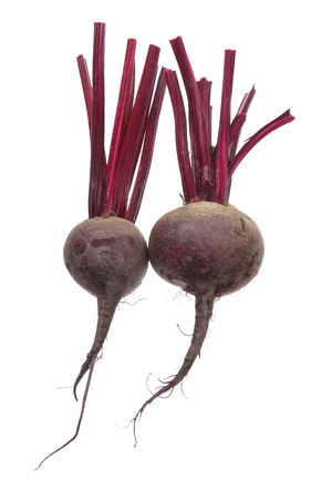Beetroof on White Backgroundの写真素材