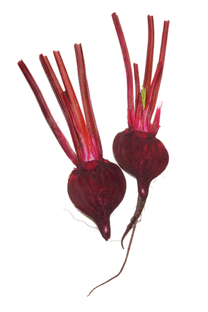 Beetroof on White Backgroundの写真素材