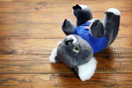 Soft Toy Koala on Wooden Backgroundの写真素材