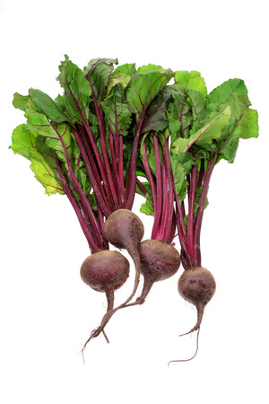 Beetroot on White Backgroundの写真素材
