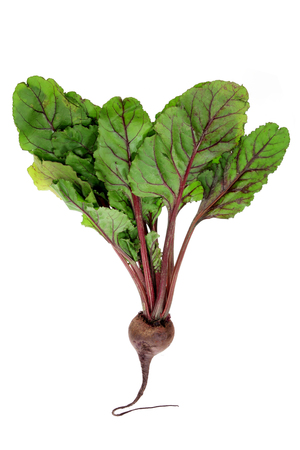 Beetroot on White Backgroundの写真素材