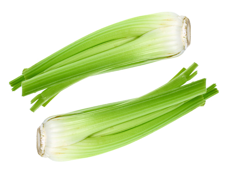Celery on White Backgroundの写真素材