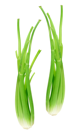 Celery on White Backgroundの写真素材