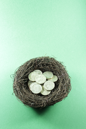 Bird Nest with Coins on Green Backgroundの写真素材