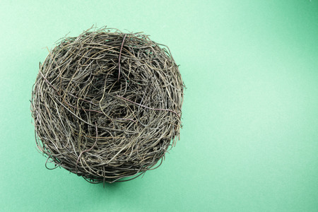 Bird Nest on Green Backgroundの写真素材