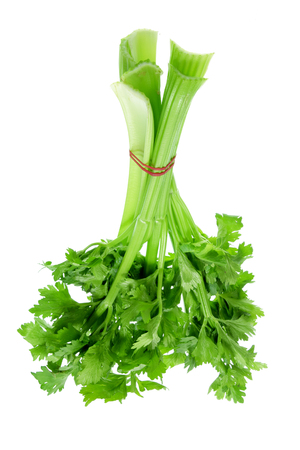 Bunch of Celery on White Backgroundの写真素材