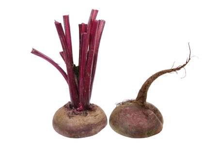 Beetroot on White Backgroundの写真素材