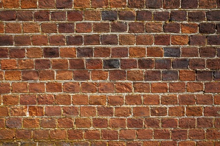 Brick wall close-up, fine textureの写真素材