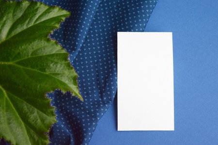 Blank white business card with green leaf on blue background.の写真素材