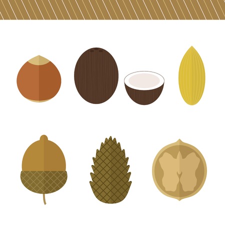 Set of nuts in flat style. Vector isolated elements for design. Hazelnut, pine nuts, coconut, acorn, walnut, almondのイラスト素材