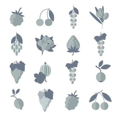 Silhouette black white gray icons of berries set. のイラスト素材