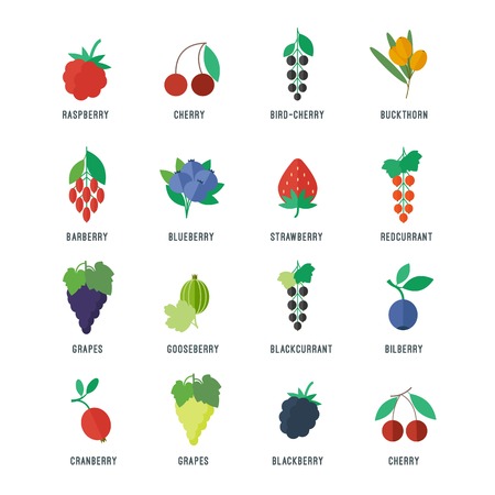 Berries set of objects for web and apps design in flat styleのイラスト素材
