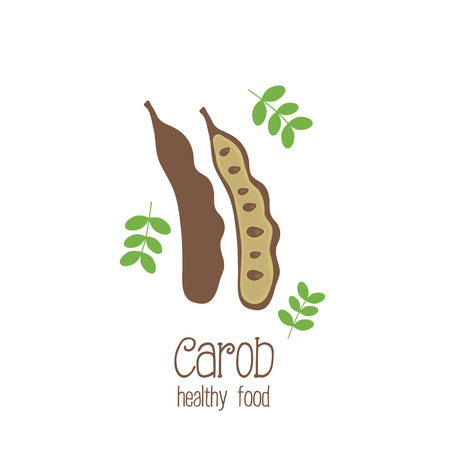 Carob pods. Used for the production of carob powder. のイラスト素材
