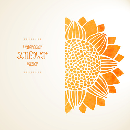 Watercolor yellow sunflower on white background and place for textのイラスト素材