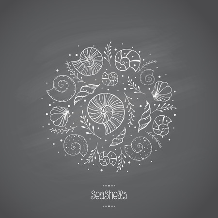Hand drawn sketches sea shells in chalk on blackboard and place for text. Vector illustrations. All objects editableのイラスト素材