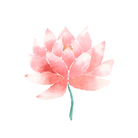 Watercolor lotus flower pink. Vector painted decorative element isolated on white background. Logo template. Symbol of India, oriental practices, yoga, ayurveda, meditation and buddhist cultureのイラスト素材