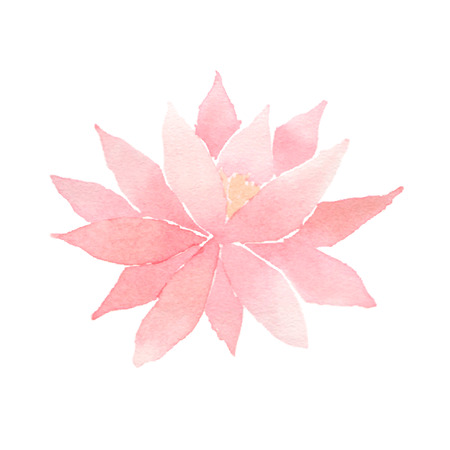 Watercolor lotus flower pink.のイラスト素材