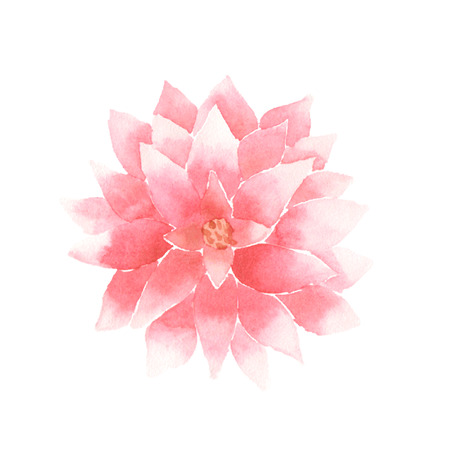 Watercolor lotus flower pink.のイラスト素材
