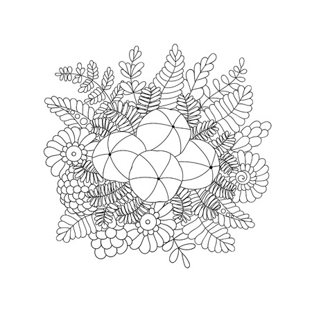 Amalaki plant and fruit isolated on white background. のイラスト素材