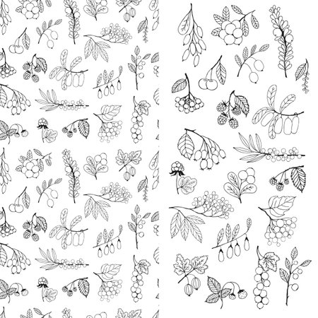 Set of wild and cultivated berries, black outline, hand drawn illustration and seamless patternのイラスト素材