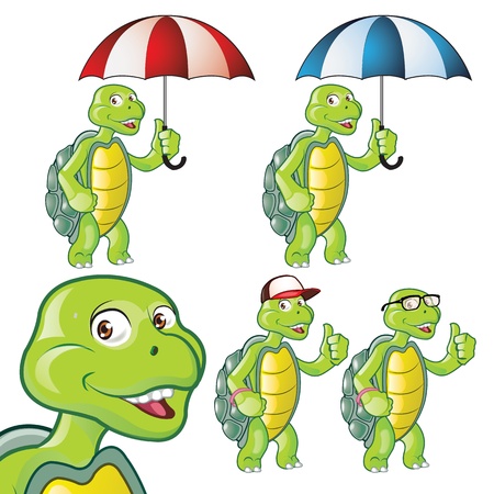 Cute Turtle Cartoonのイラスト素材