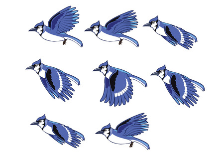 Blue Jay Bird Flying Animation のイラスト素材