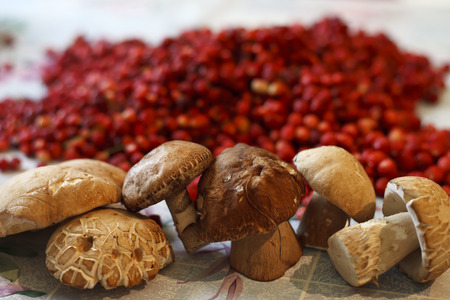 mushrooms and strawberries collected in the forest Russian forest berries and mushroomsの写真素材