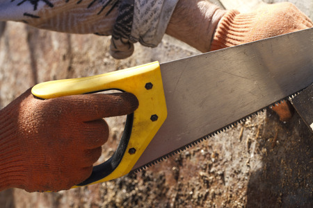 Man with a saw on a tree close upの写真素材