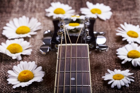 guitar and daisy flowers background wallpaperの写真素材