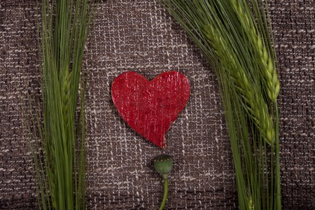 a abstract hearts and ears of cornの写真素材