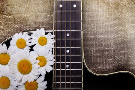 guitar and daisy flowers background wallpaperの写真素材
