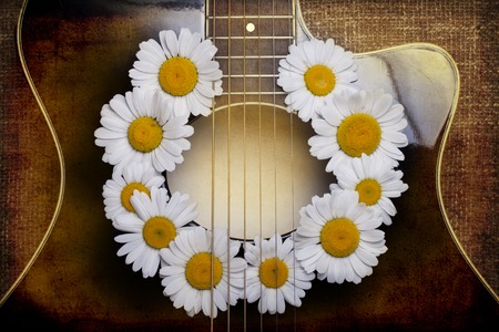 guitar and daisy flowers background wallpaper