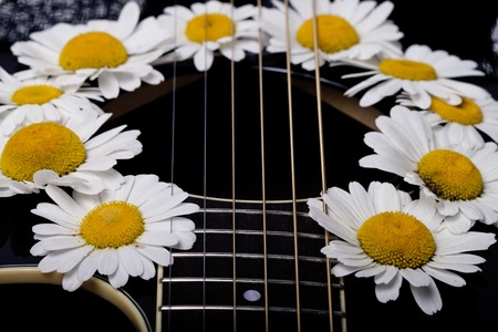guitar and daisy flowers background wallpaperの写真素材
