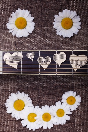 a smile of daisies and guitarの写真素材