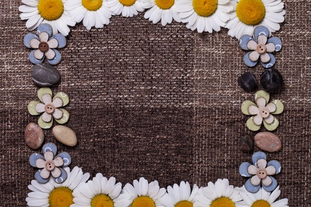 a Frame daisy background wallpaper designの写真素材