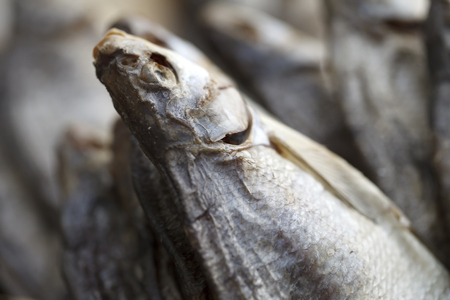 dried fish close up background eating seafood