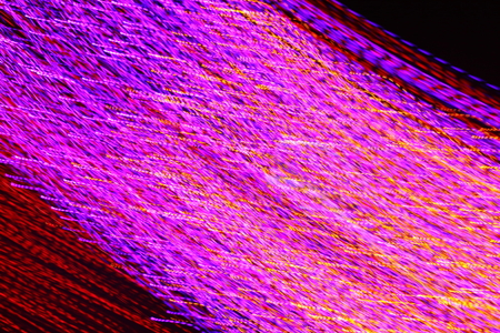 photo effects, background, light abstraction, blur, unique patterns, without treatment in the...