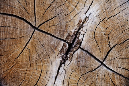 old vintage wood texture, grunge background, cracksの写真素材