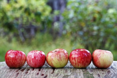 juicy ripe apples , healthy food, vitamins vegetarianの写真素材