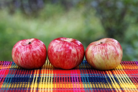 juicy ripe apples , healthy food, vitamins vegetarianの写真素材