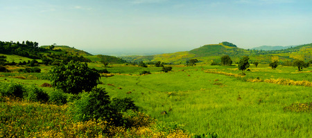 Agriculture landscape with fields of teff at morning in Ethiopiaの写真素材