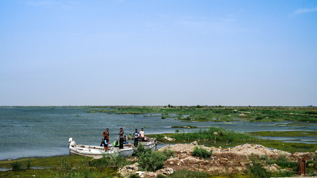 Mesopotamian Marshes, habitat of Marsh Arabs aka Madans - 05.11.2011 Basra Iraqのeditorial素材