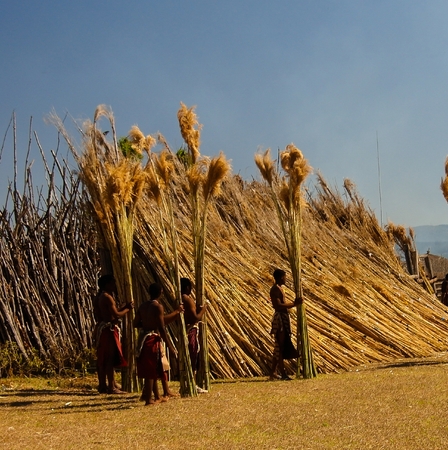 Women in traditional costumes marching at the Umhlanga aka Reed Dance ceremony - 01-09-2013 Lobamba, Swazilandのeditorial素材