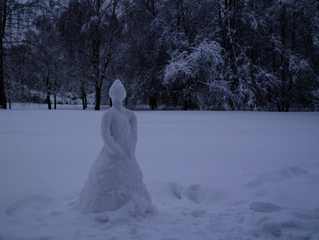 mixed forest in the Kolomenskoye estate after snowfall, Moscow, Russiaのeditorial素材