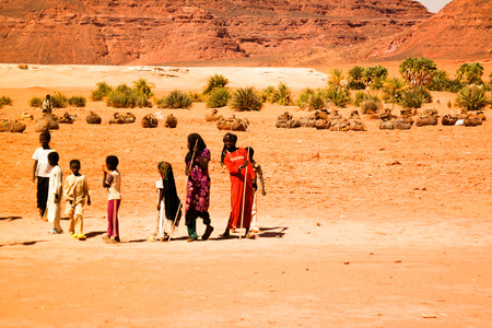 Portrait of Toubou, or Tubu woman - - 10 november 2018 Demi village at Fada, Ennedi, Chadのeditorial素材