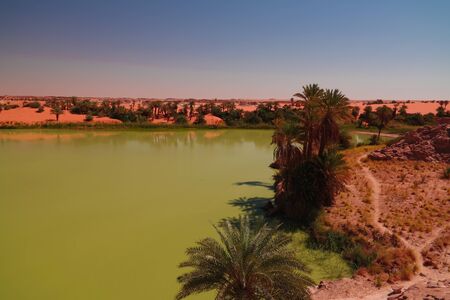 Aerial Panoramic view to Katam aka Baramar lake group of Ounianga kebir lakes , Ennedi, Chadの写真素材