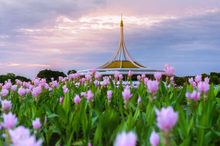 Parkのeditorial素材