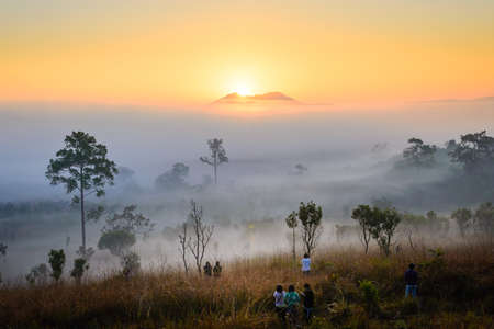 the fog with sunriseの写真素材